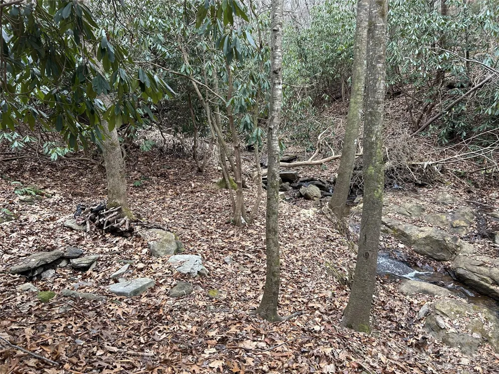 000 Lytle Cove Road Swannanoa, NC 28778