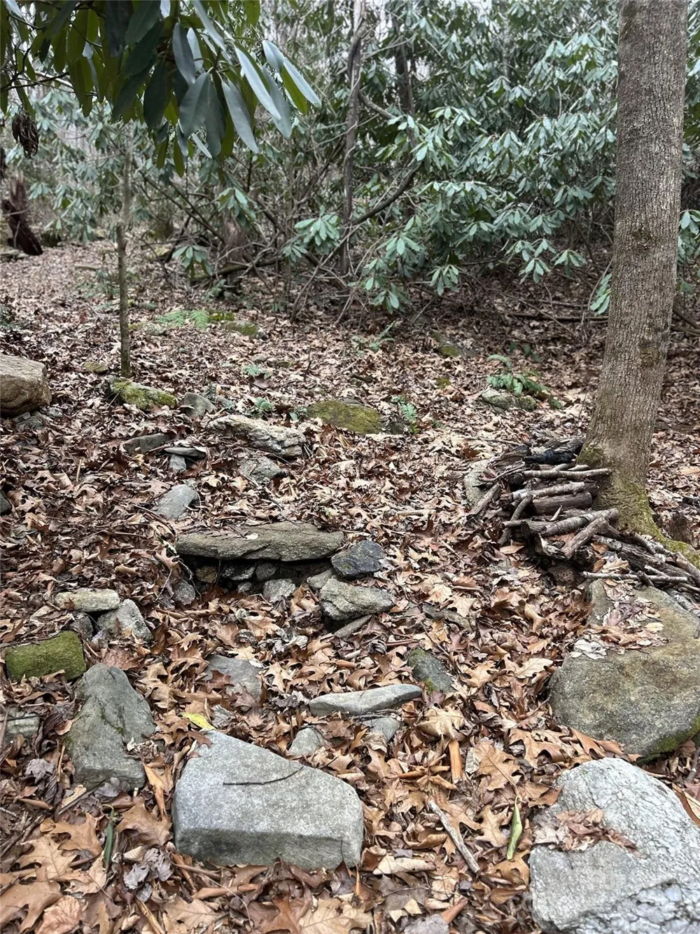 000 Lytle Cove Road Swannanoa, NC 28778