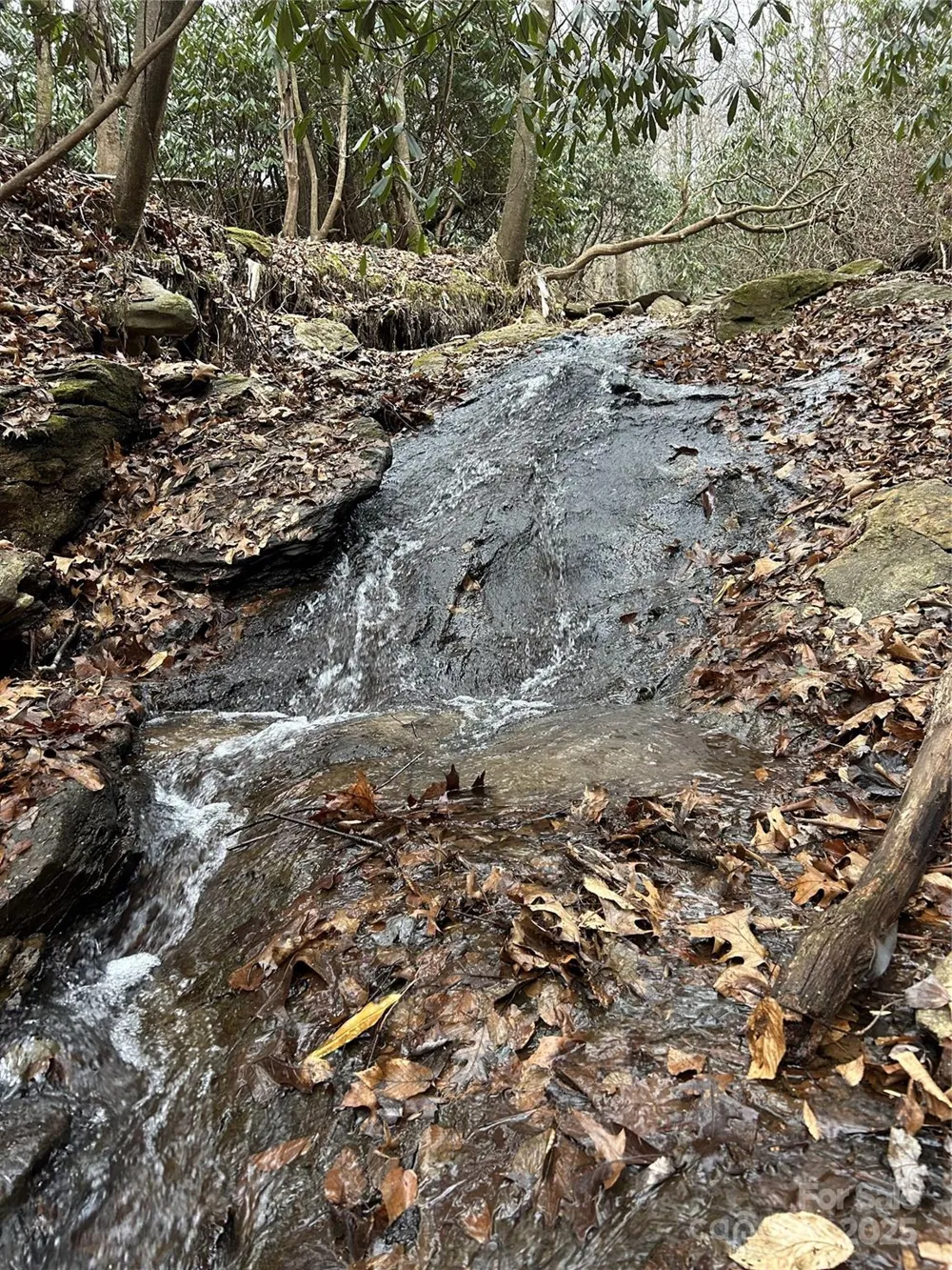 000 Lytle Cove Road Swannanoa, NC 28778
