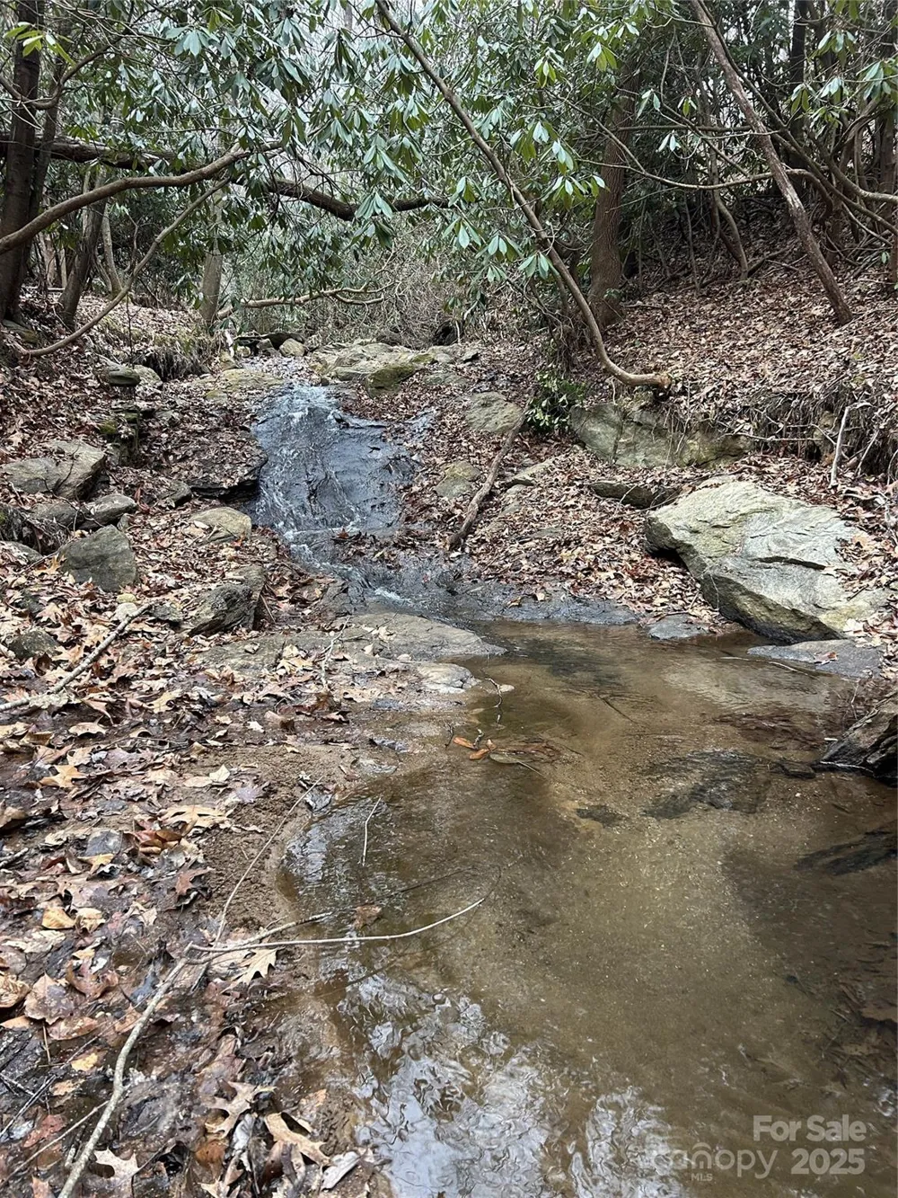 000 Lytle Cove Road Swannanoa, NC 28778