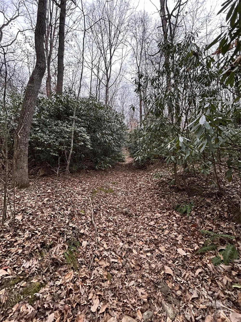 000 Lytle Cove Road Swannanoa, NC 28778
