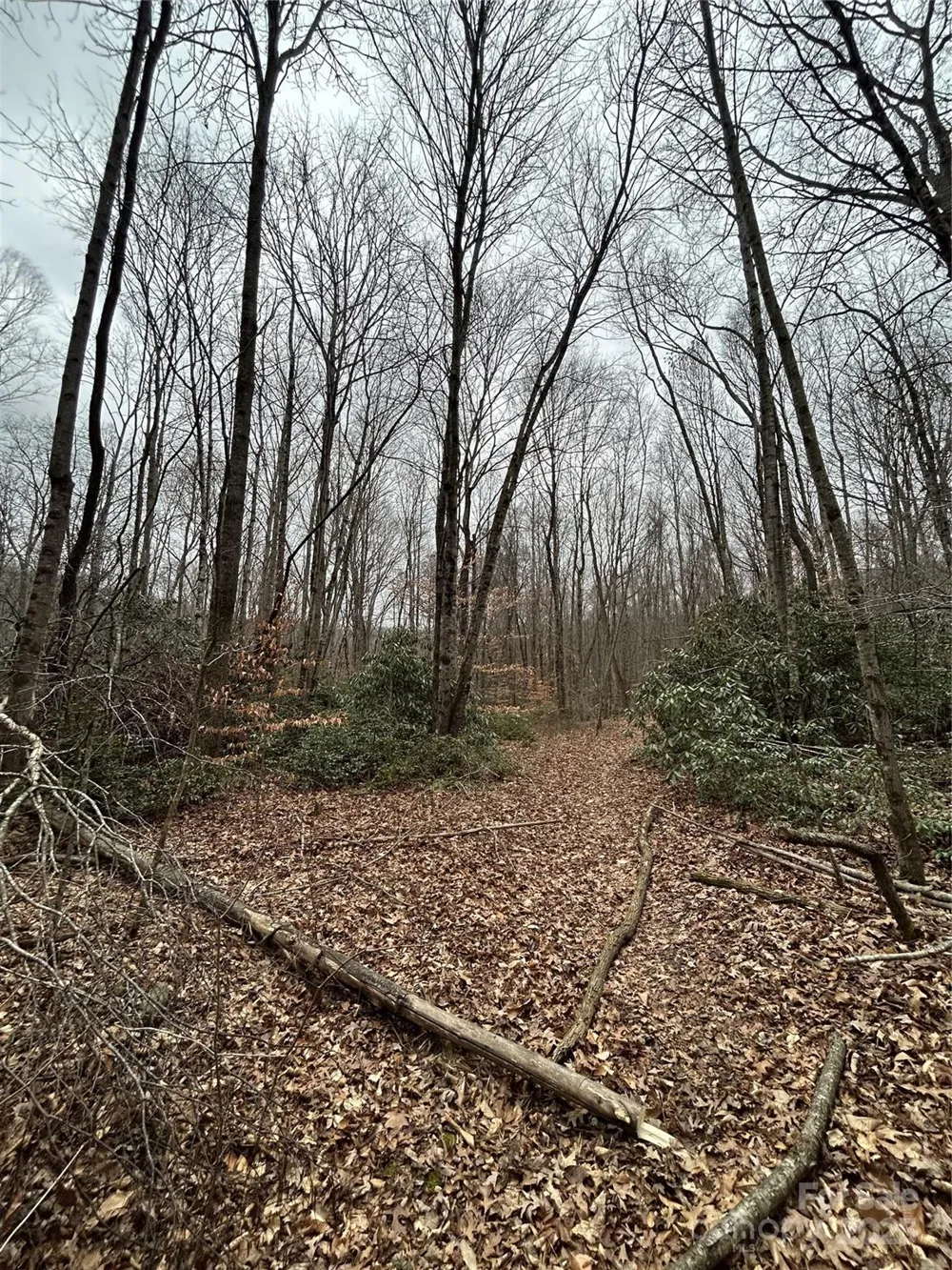 000 Lytle Cove Road Swannanoa, NC 28778
