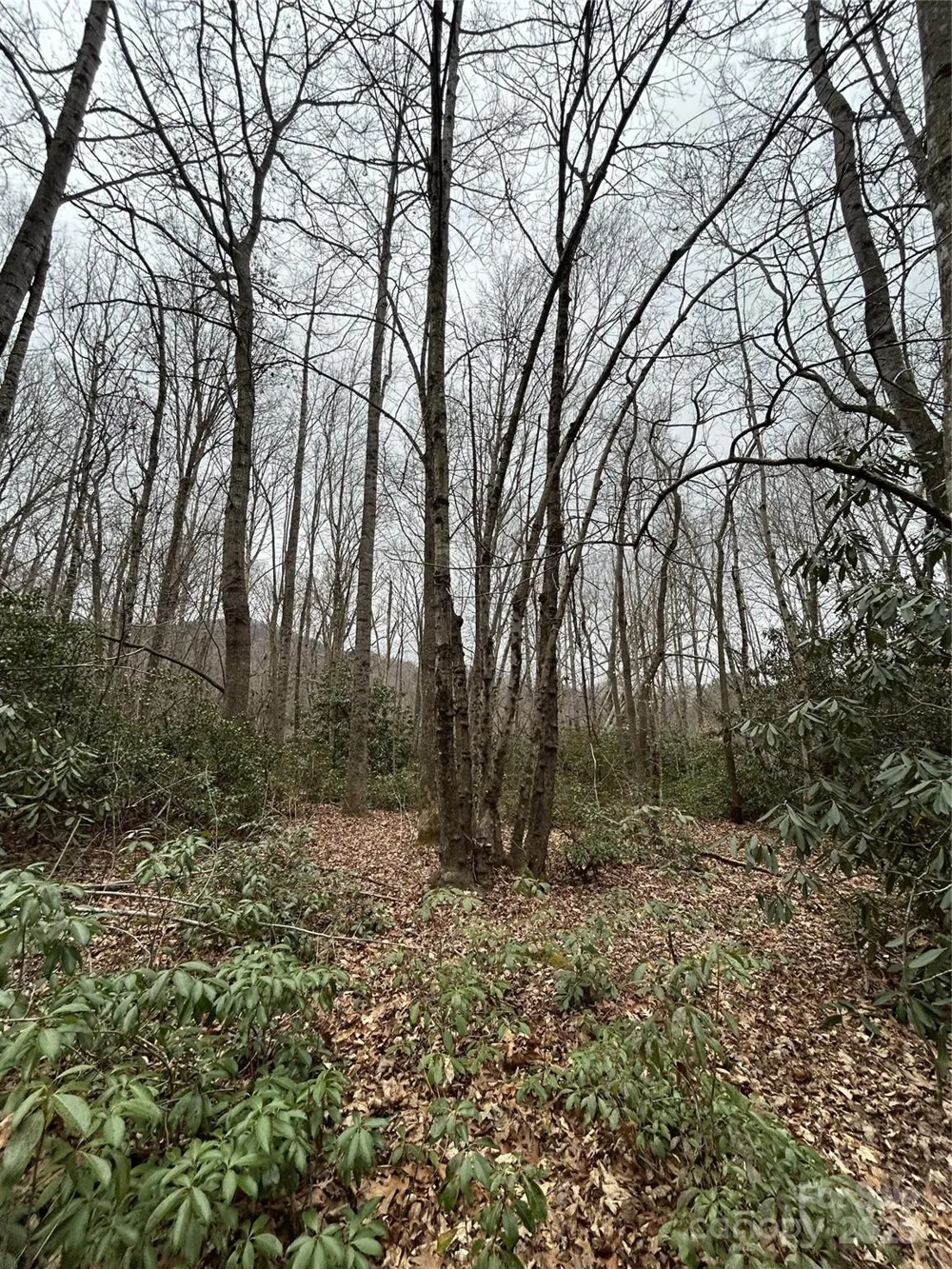 000 Lytle Cove Road Swannanoa, NC 28778
