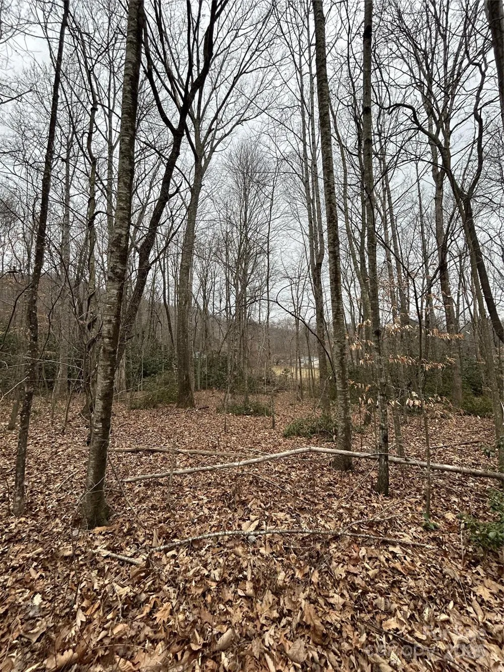 000 Lytle Cove Road Swannanoa, NC 28778