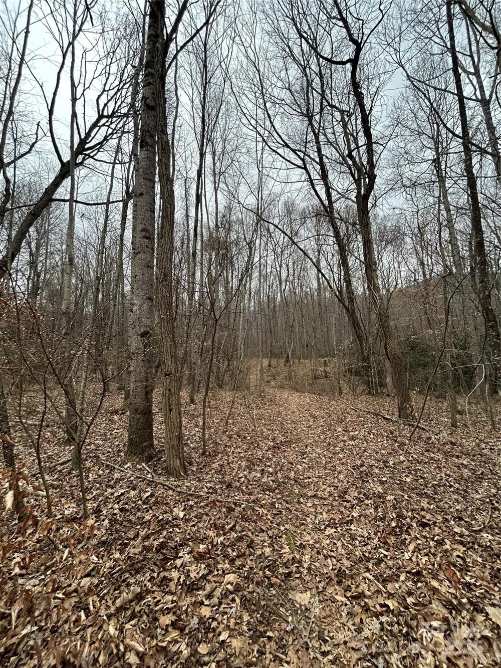 000 Lytle Cove Road Swannanoa, NC 28778