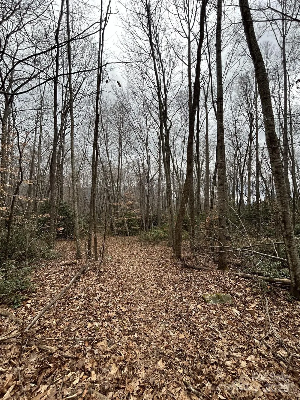000 Lytle Cove Road Swannanoa, NC 28778