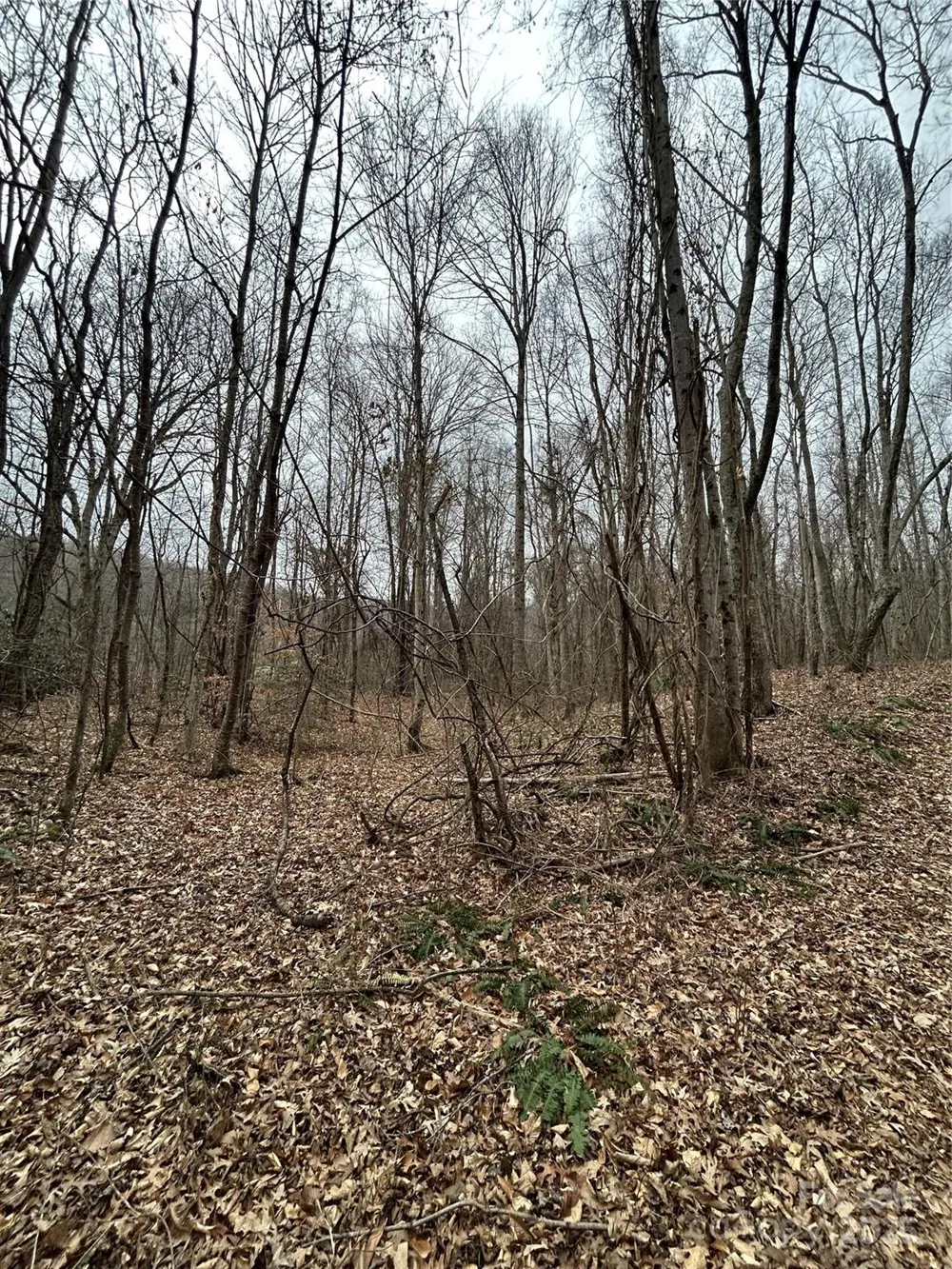 000 Lytle Cove Road Swannanoa, NC 28778