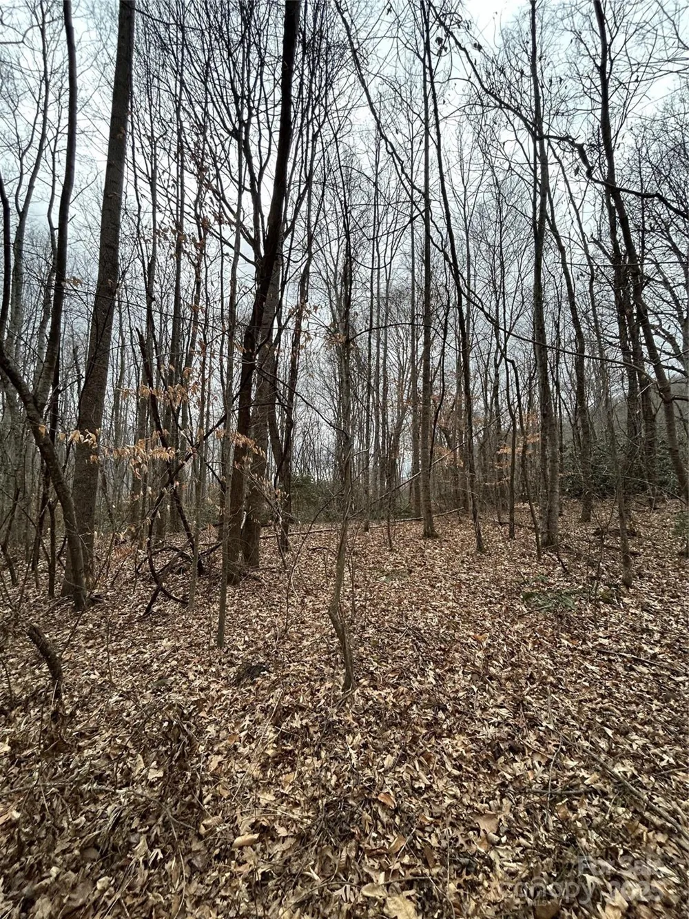 000 Lytle Cove Road Swannanoa, NC 28778