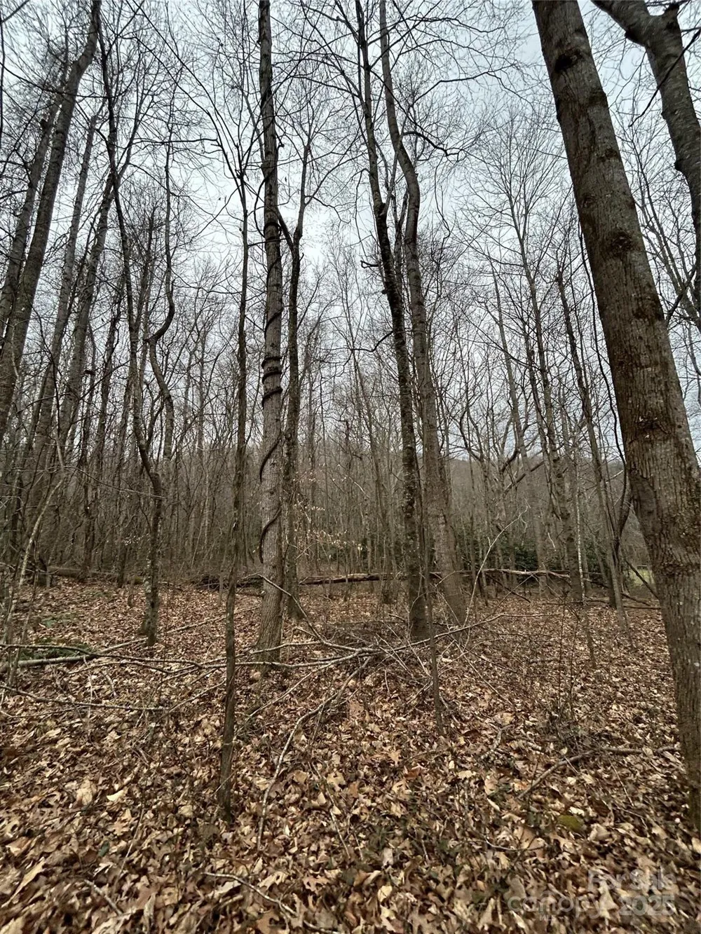 000 Lytle Cove Road Swannanoa, NC 28778
