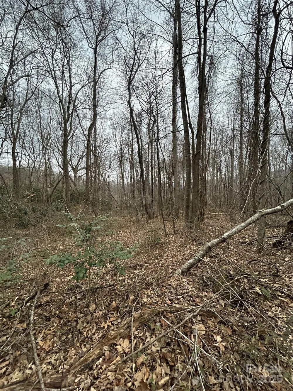 000 Lytle Cove Road Swannanoa, NC 28778