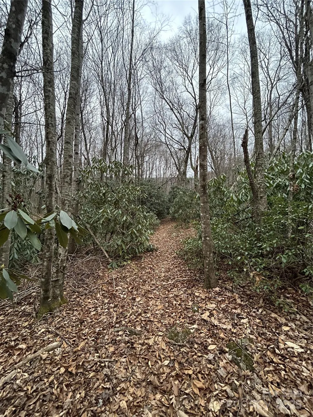 000 Lytle Cove Road Swannanoa, NC 28778