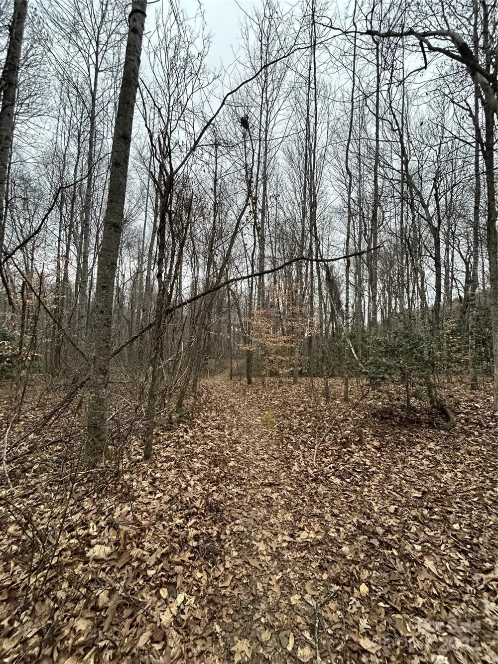 000 Lytle Cove Road Swannanoa, NC 28778