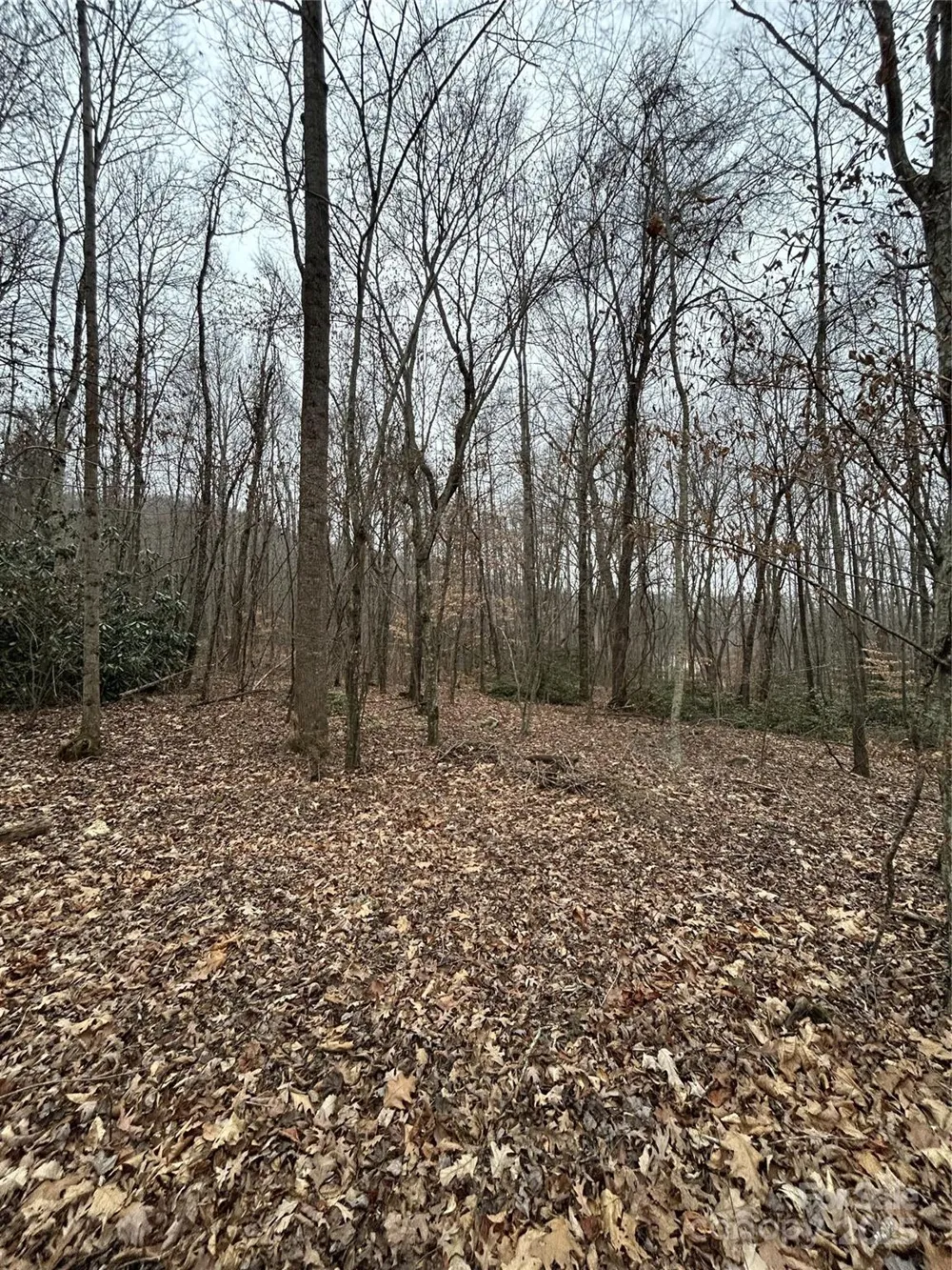 000 Lytle Cove Road Swannanoa, NC 28778
