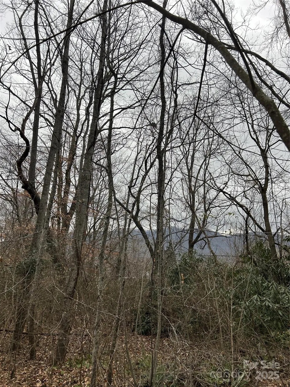 000 Lytle Cove Road Swannanoa, NC 28778