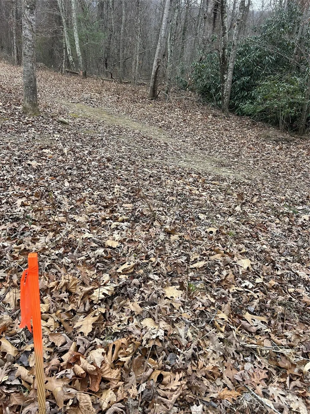 000 Lytle Cove Road Swannanoa, NC 28778