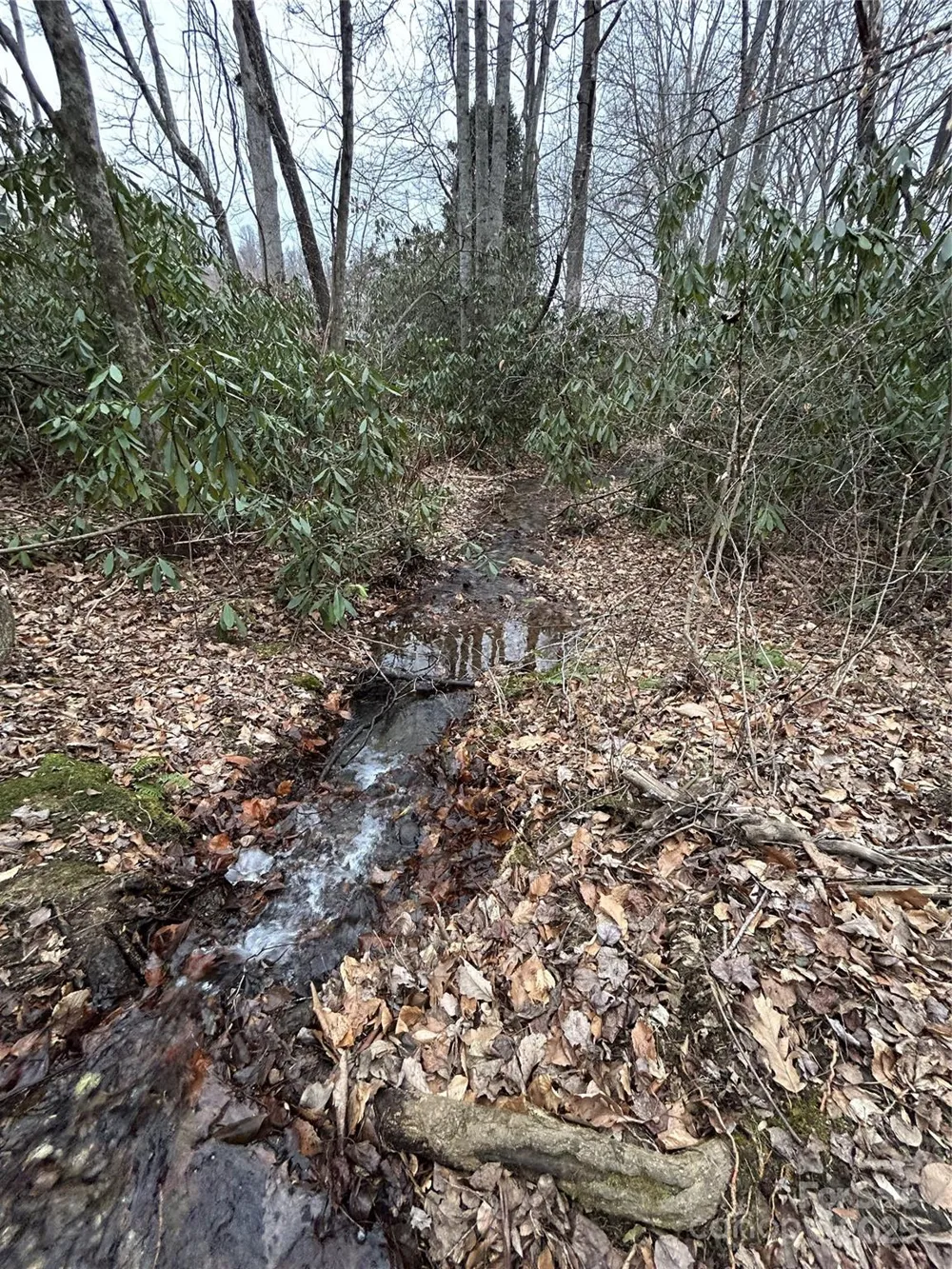000 Lytle Cove Road Swannanoa, NC 28778