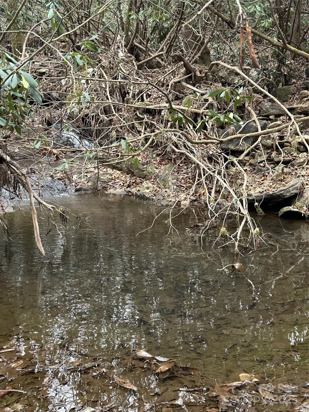 000 Lytle Cove Road Swannanoa, NC 28778