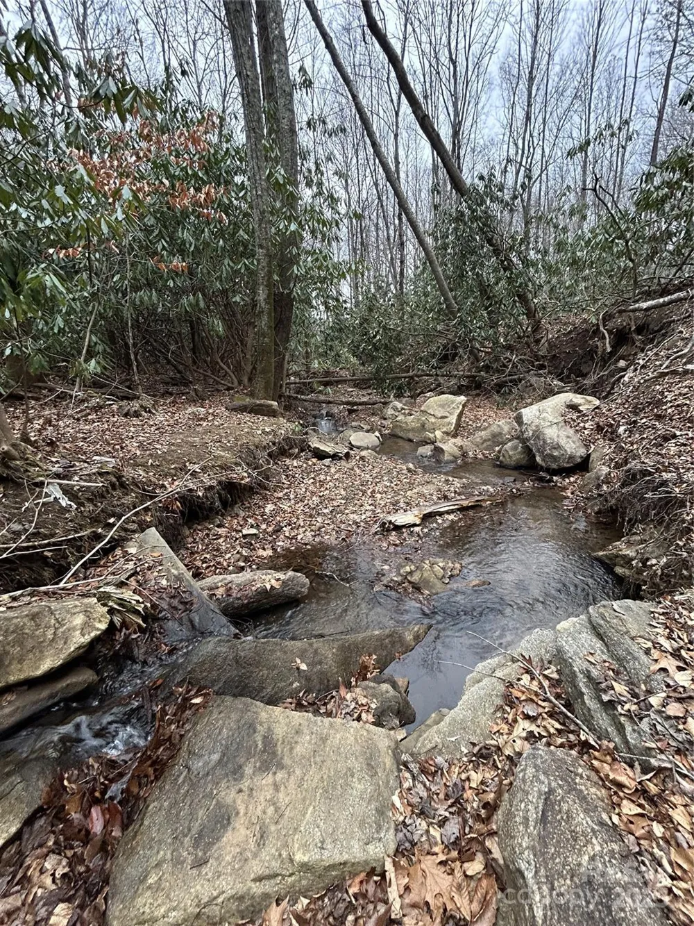 000 Lytle Cove Road Swannanoa, NC 28778