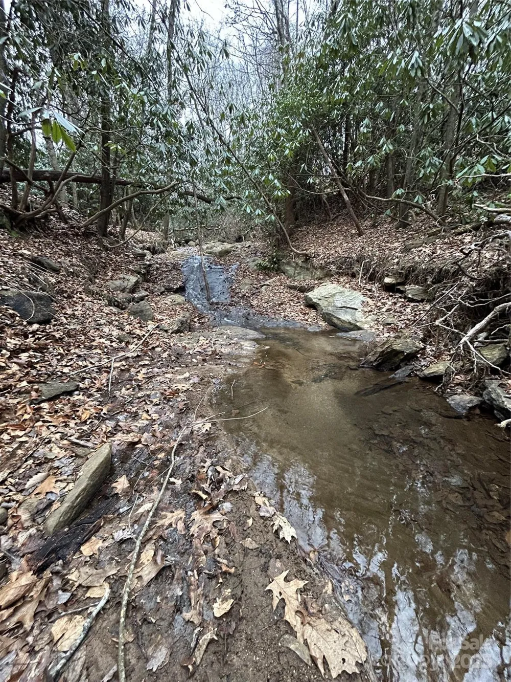 000 Lytle Cove Road Swannanoa, NC 28778