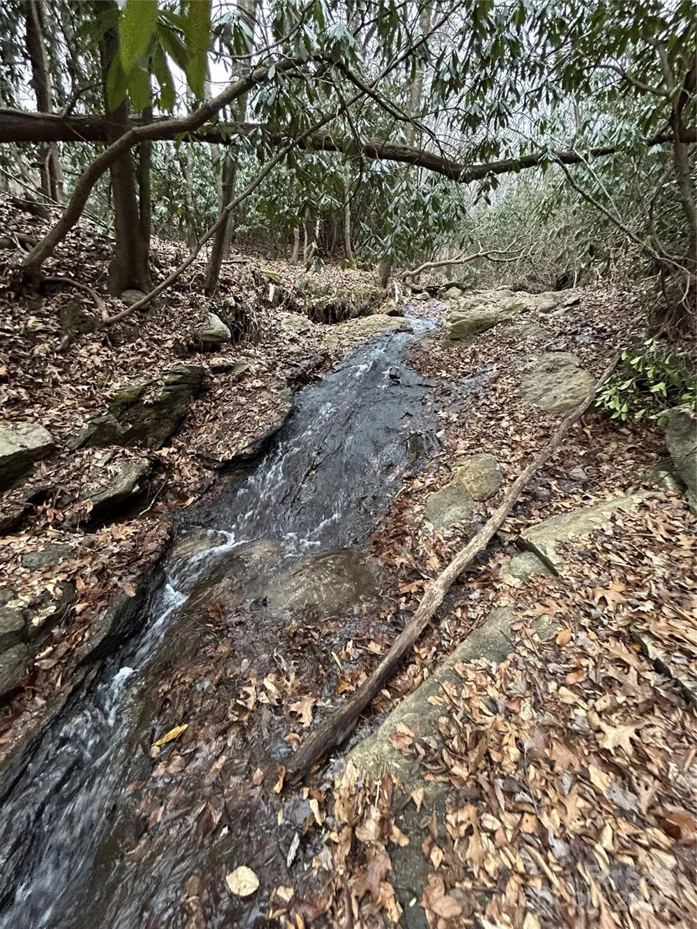 000 Lytle Cove Road Swannanoa, NC 28778