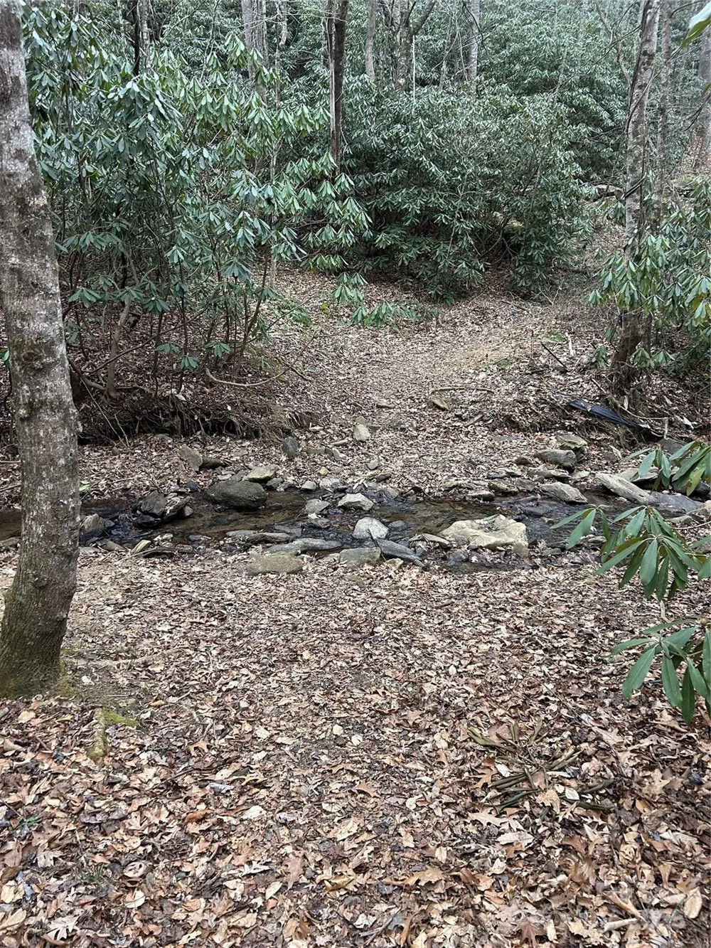 000 Lytle Cove Road Swannanoa, NC 28778