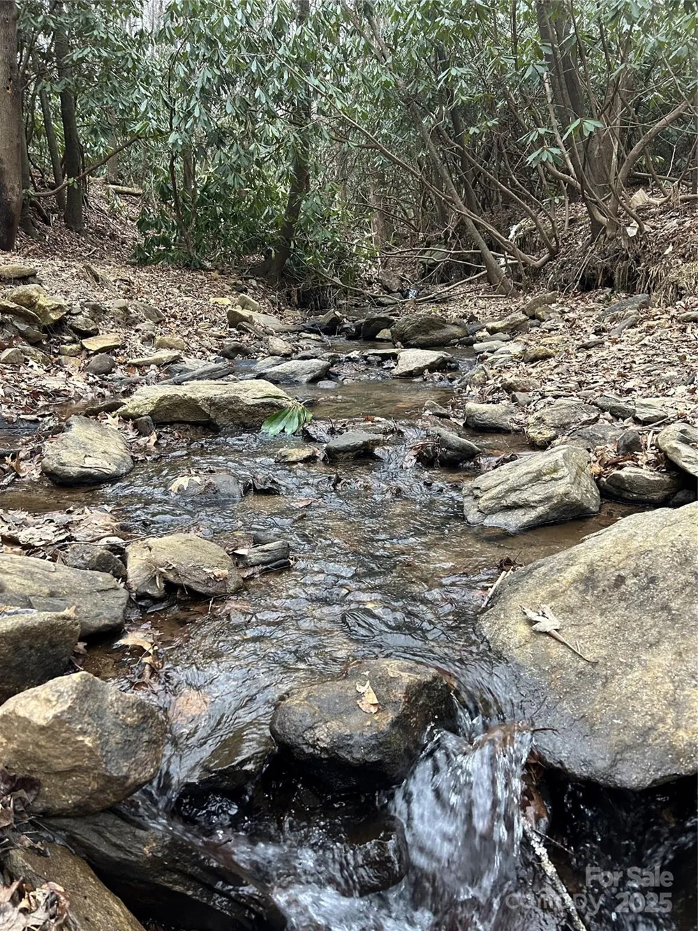 000 Lytle Cove Road Swannanoa, NC 28778