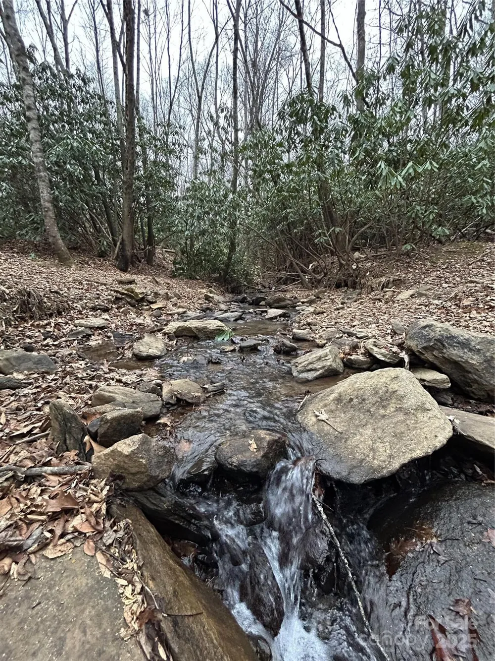 000 Lytle Cove Road Swannanoa, NC 28778