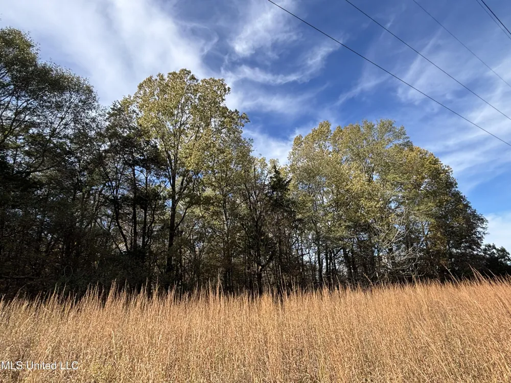 Fletchers Chapel Road Bentonia, MS 39040