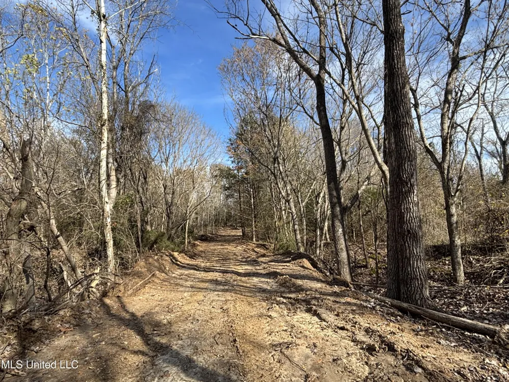 Fletchers Chapel Road Bentonia, MS 39040