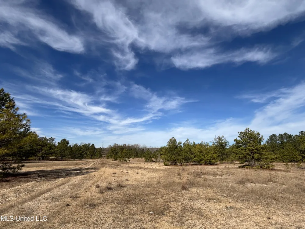 Fletchers Chapel Road Bentonia, MS 39040
