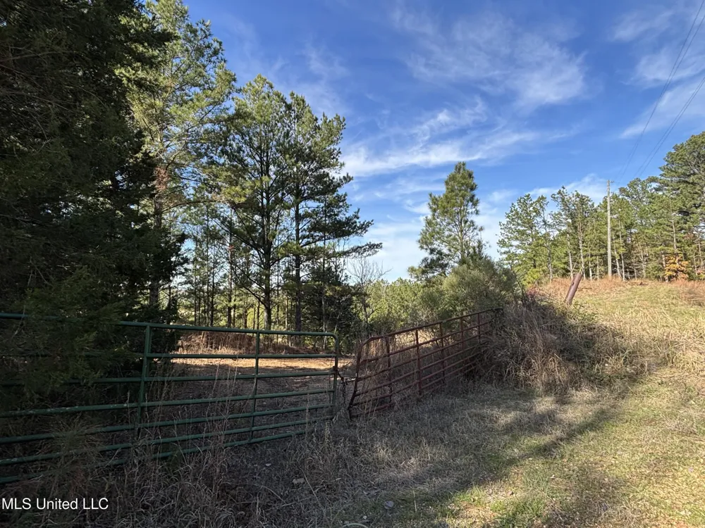 Fletchers Chapel Road Bentonia, MS 39040