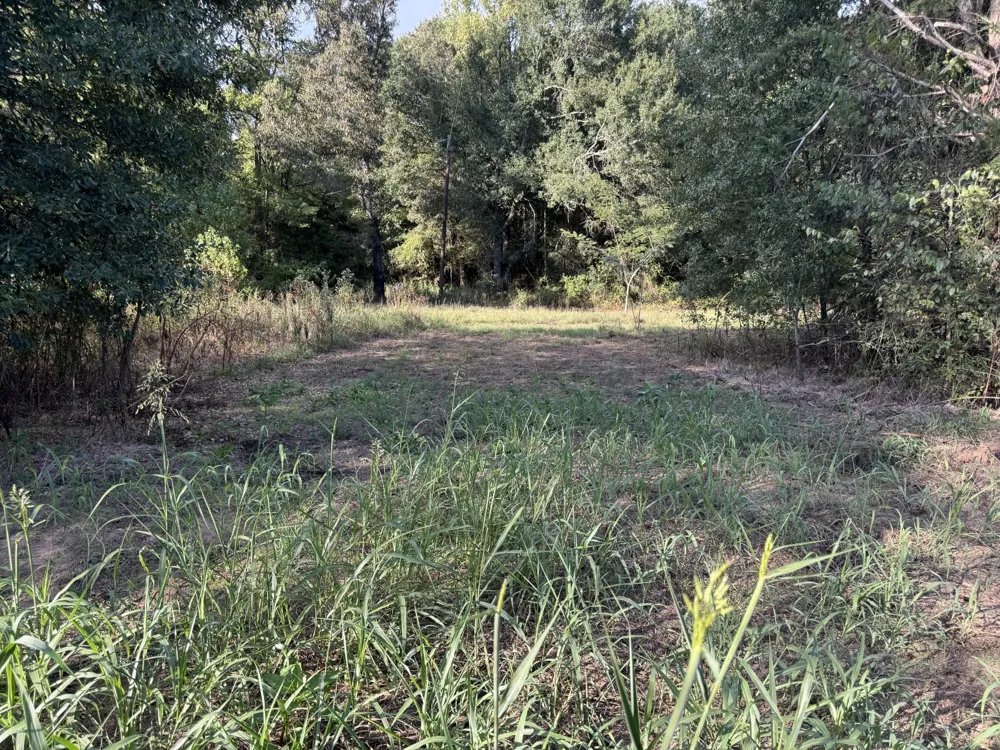 137 CR 2362 Bagwell, TX 75412