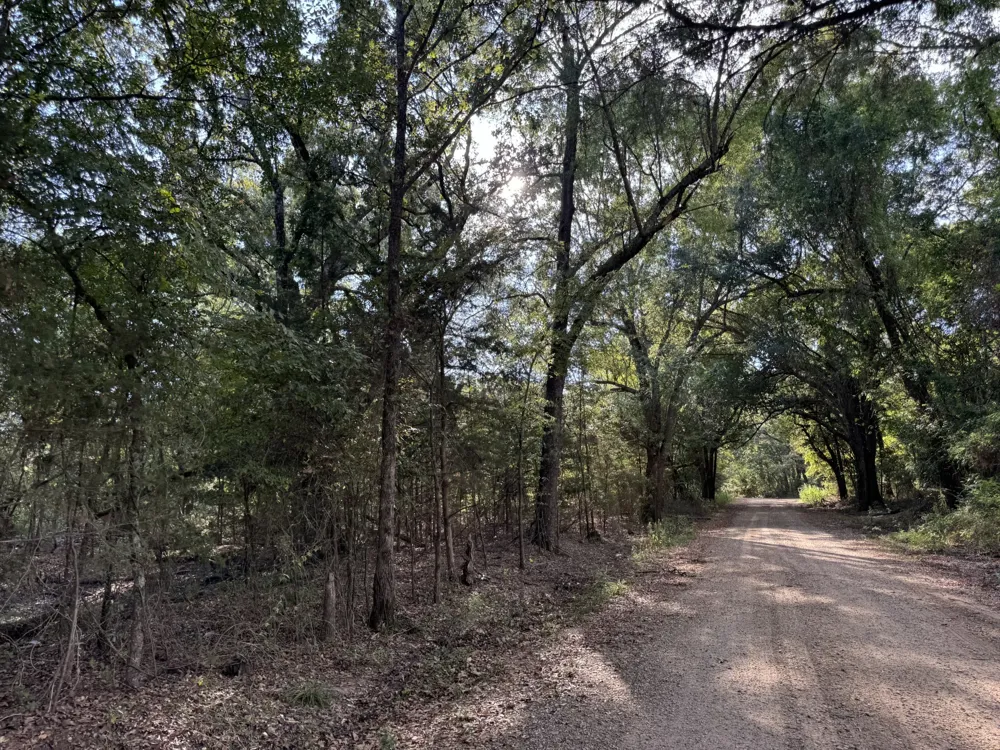 137 CR 2362 Bagwell, TX 75412