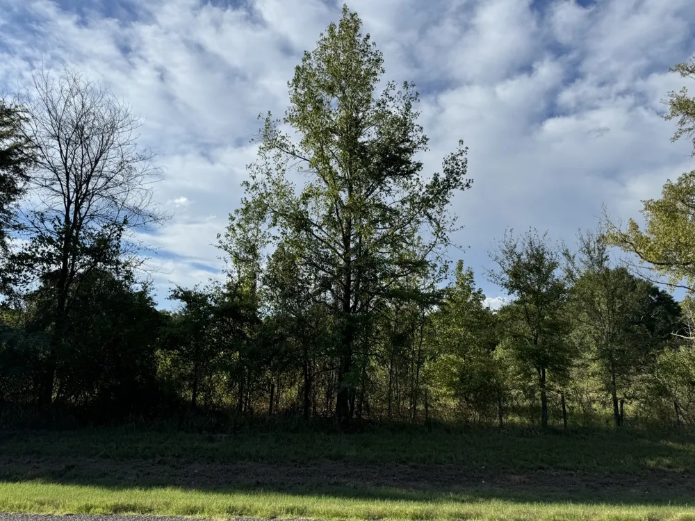 137 CR 2362 Bagwell, TX 75412
