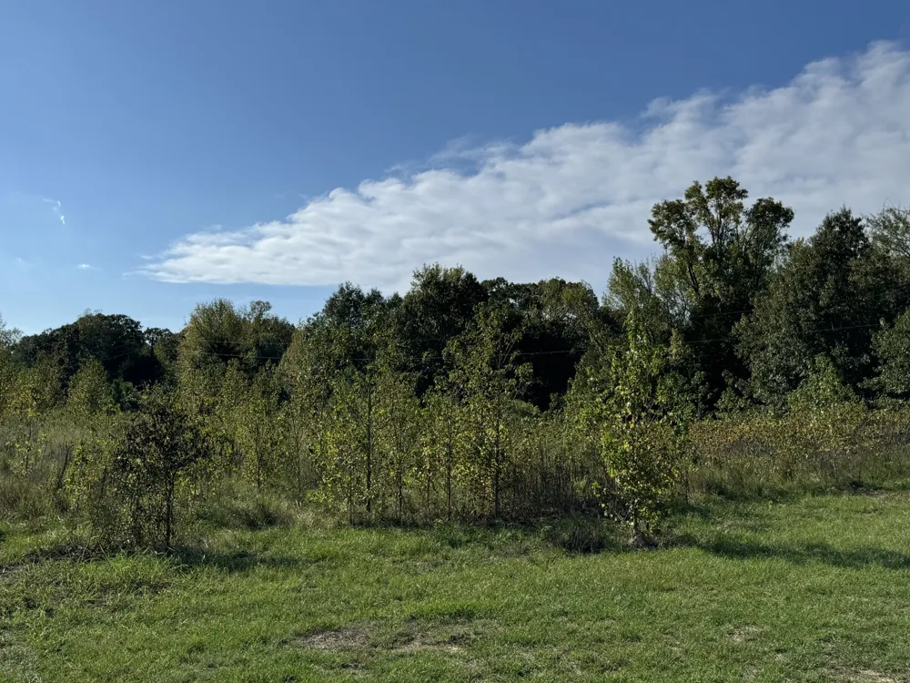 137 CR 2362 Bagwell, TX 75412