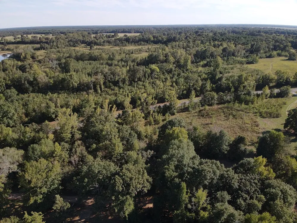 137 CR 2362 Bagwell, TX 75412