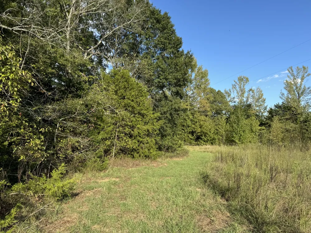 137 CR 2362 Bagwell, TX 75412
