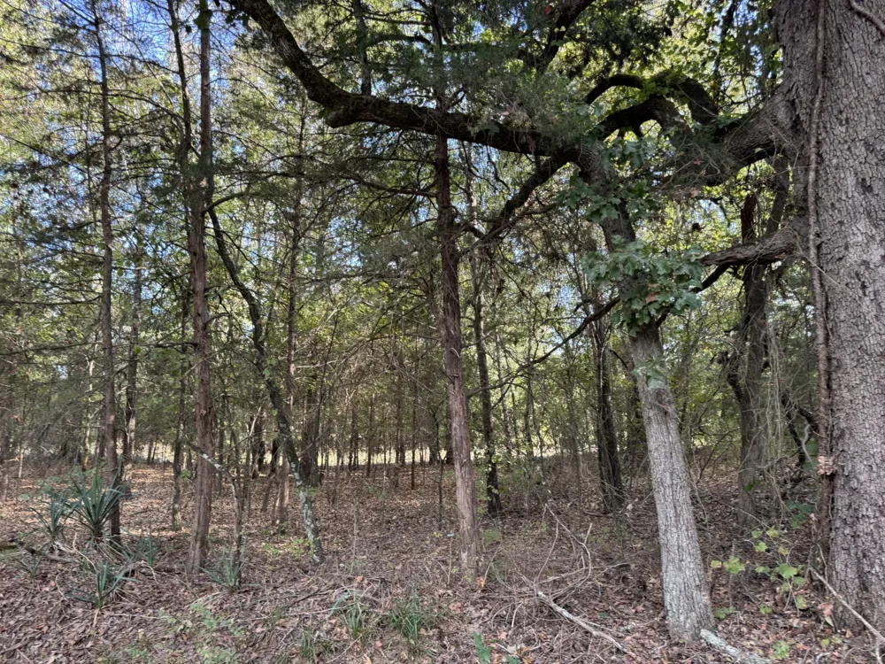 137 CR 2362 Bagwell, TX 75412