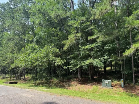 75 Green Tree Drive
