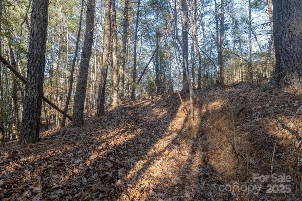49 Lake James Road Marion, NC 28752