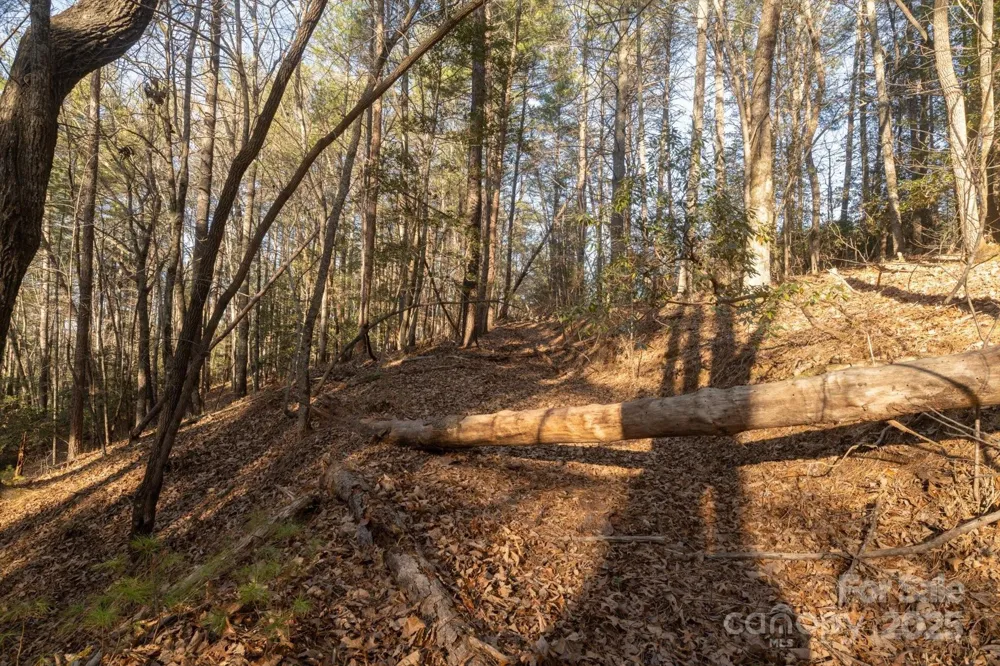 49 Lake James Road Marion, NC 28752