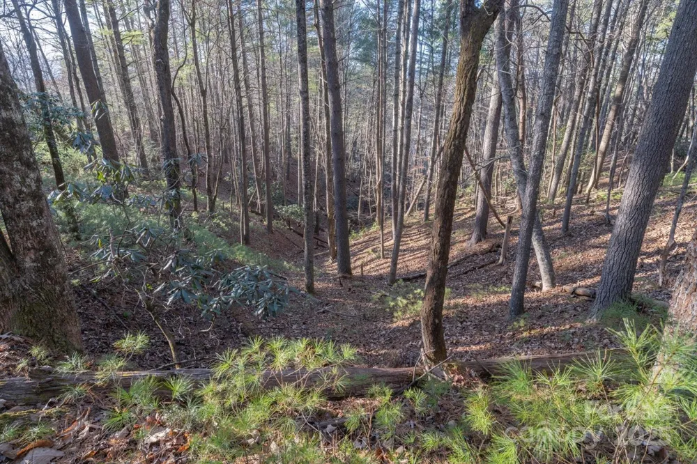 49 Lake James Road Marion, NC 28752