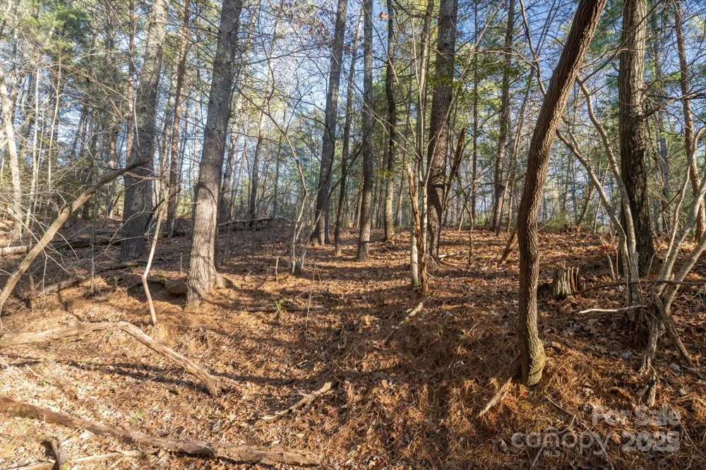 49 Lake James Road Marion, NC 28752
