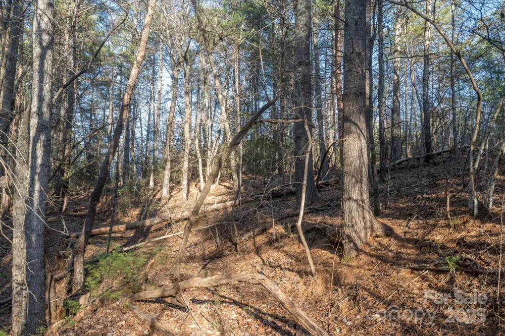 49 Lake James Road Marion, NC 28752