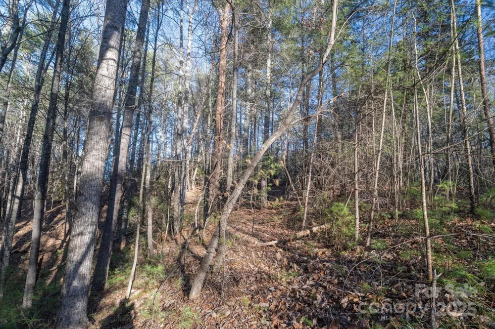 49 Lake James Road Marion, NC 28752
