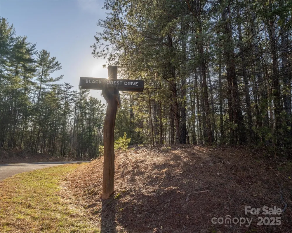49 Lake James Road Marion, NC 28752