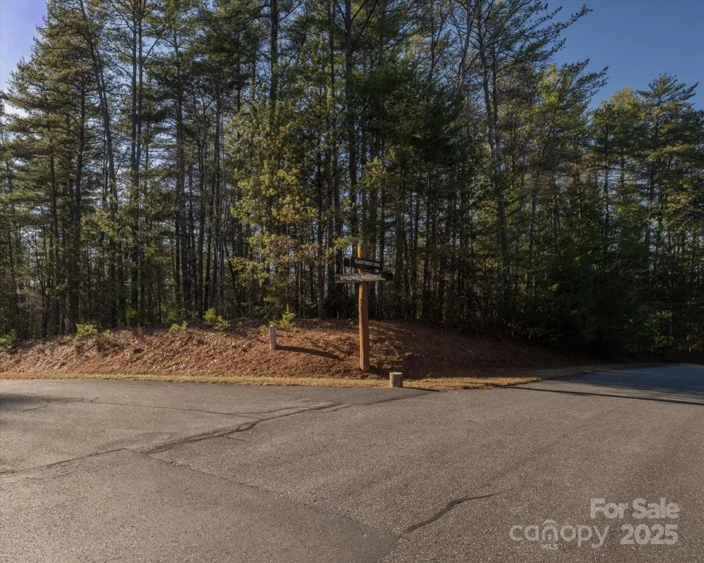 49 Lake James Road Marion, NC 28752