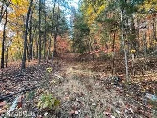 1928 Frye Road Westfield, NC 27053