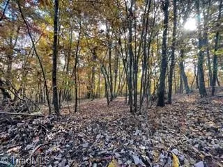 1928 Frye Road Westfield, NC 27053