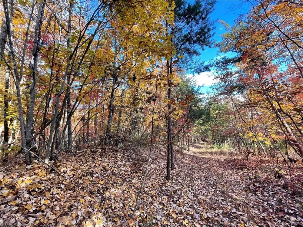 1928 Frye Road Westfield, NC 27053